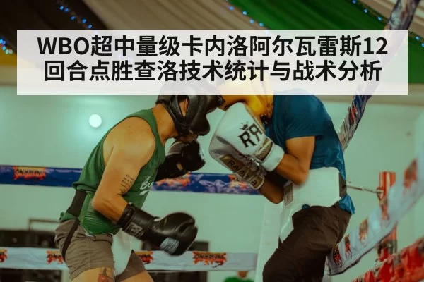 WBO超中量级卡内洛阿尔瓦雷斯12回合点胜查洛技术统计与战术分析